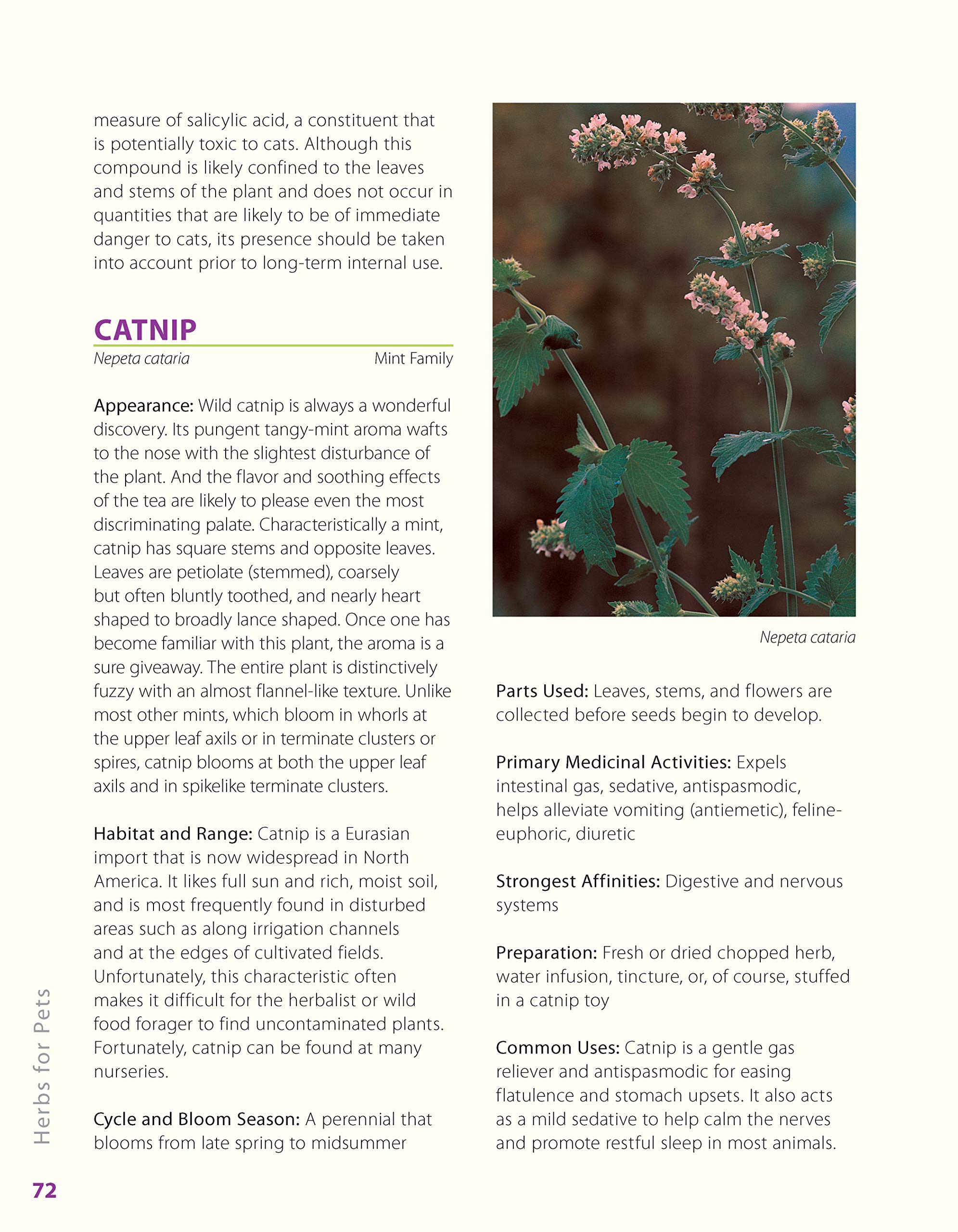 **Herbs for Pets: Natural Remedies & Holistic Care Guide for Dogs, Cats, Horses & Birds | Medicinal Plants, Nutritional Supplements & DIY Recipes | Improve Pet Health & Wellness at Home**    *(Use Case: Perfect for pet owners seeking natural solutions for allergies, digestion, joint health, and overall vitality in dogs, cats, horses, birds, and small animals.)*