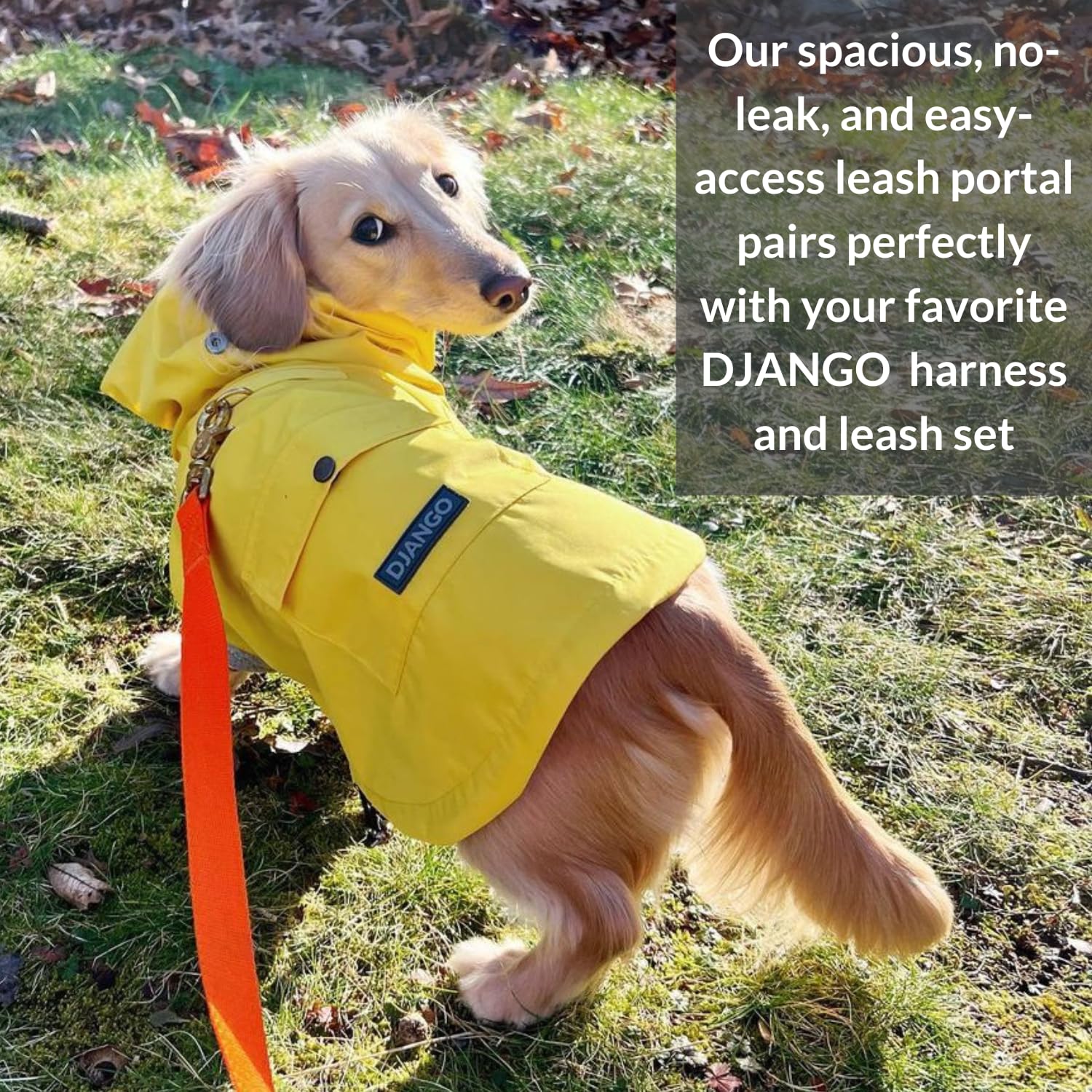 DJANGO Highland Waterproof Dog Jacket with Hood - Adjustable Lightweight Blue Coat for Small & Medium Dogs | Harness Hole, Cozy Lining & Back Pocket | Perfect for Outdoor Hiking, Winter Walks & Rainy Day Adventures (Medium, Blue)