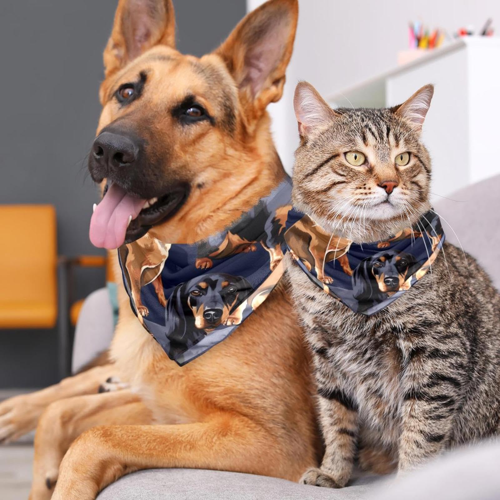 Premium Dog Bandanas for Small, Medium & Large Pets - 2-Piece Set in Black & Brown - Stylish Dachshund Dog Scarf for Dogs & Cats - Perfect for Pet Parties, Photo Shoots & Daily Walks