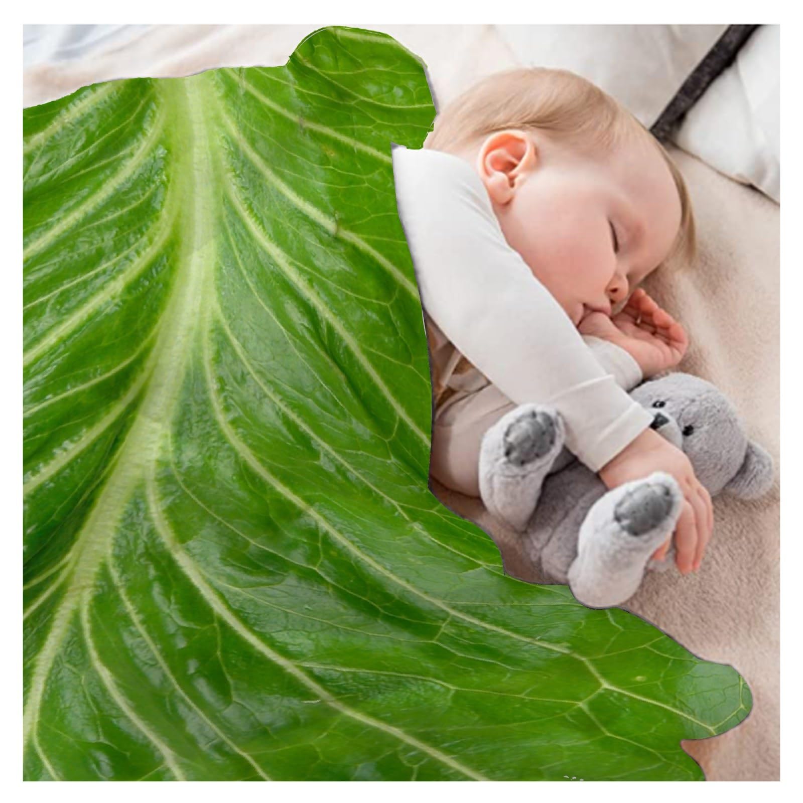 40x30 Inch Lettuce Blanket for Baby - Soft Fleece Cabbage Blanket, Funny Food Gift for Women & Kids, Cozy Summer & Fall Throw for Couch, Bed, Sofa - Perfect for Gifts, Lounging & Photo Props