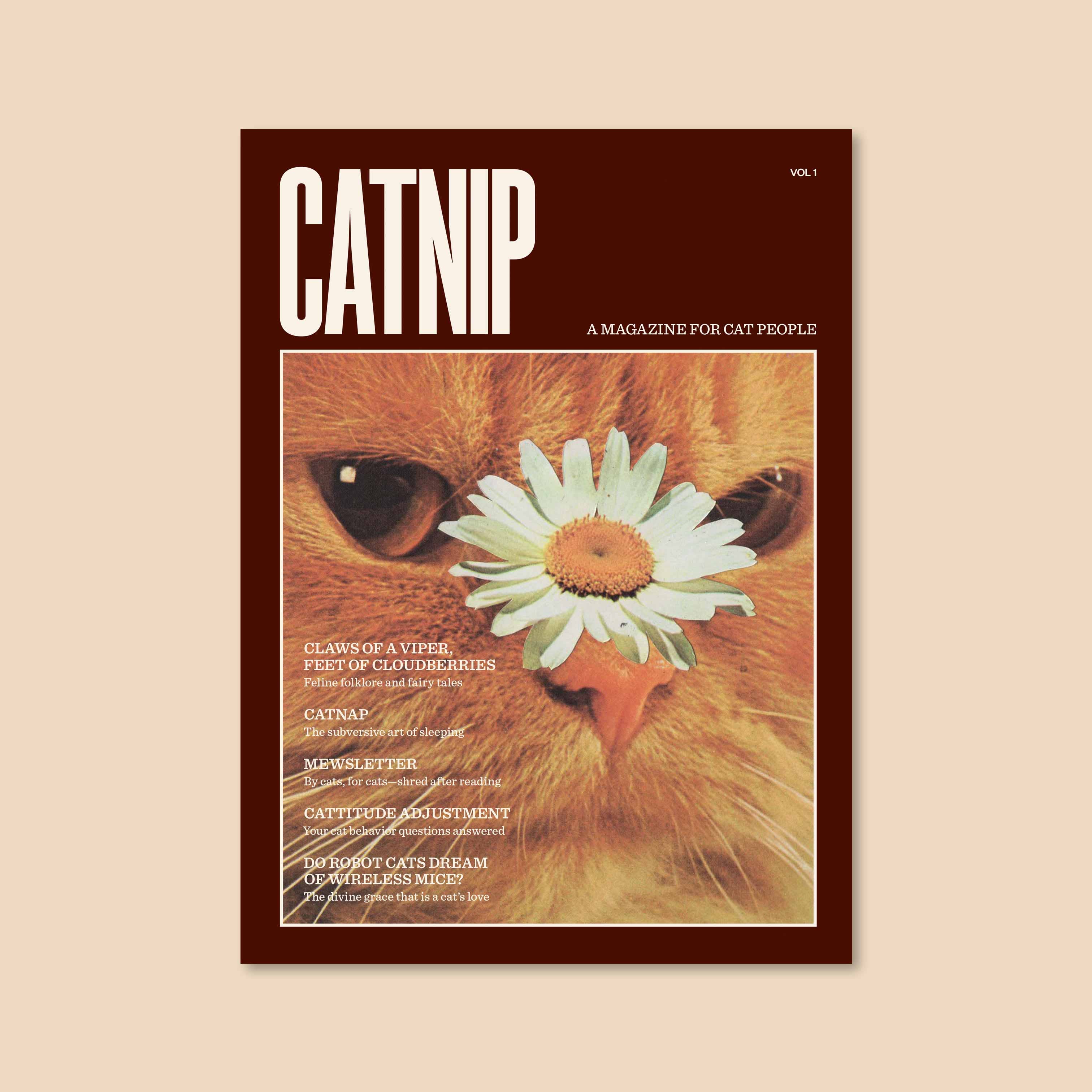 Premium Catnip Magazine for Cats - Natural & Organic Catnip Toy for Playtime & Training - Perfect for Indoor & Outdoor Fun