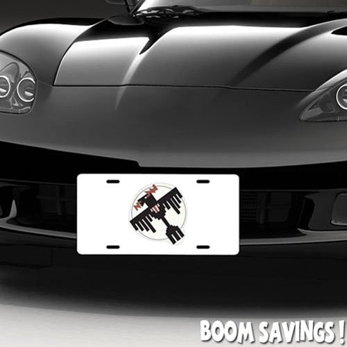 USAF Air Combat Command License Plate - Official Air Force Military Car Tag - Perfect for Veterans, Enthusiasts & Patriotic Car Decoration