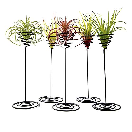Creative Black Iron Air Pineapple Plant Stand - Modern Flower Pot Holder for Home, Balcony & Garden Decor - Perfect for Indoor Plants, Succulents & Outdoor Landscaping
