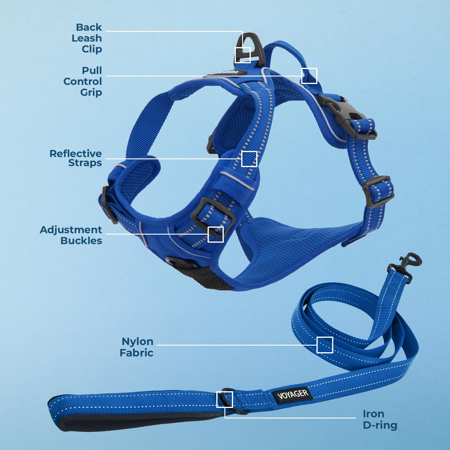 No-Pull Adjustable Dog Harness with Dual Leash Attachment & 3M Reflective Strips - Soft Yet Strong Pet Harness for Medium & Large Dogs - Harness Leash Set (Royal Blue Lattice, Size S) - Perfect for Walking, Training & Nighttime Safety