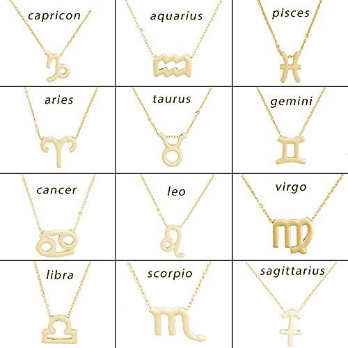 Silver Plated Zodiac Necklace for Women - Personalized Horoscope Sign Constellation Pendant (Leo) - Astrology Birthday Gift with White Message Card - Perfect for Daily Wear, Special Occasions & Spiritual Jewelry Collection