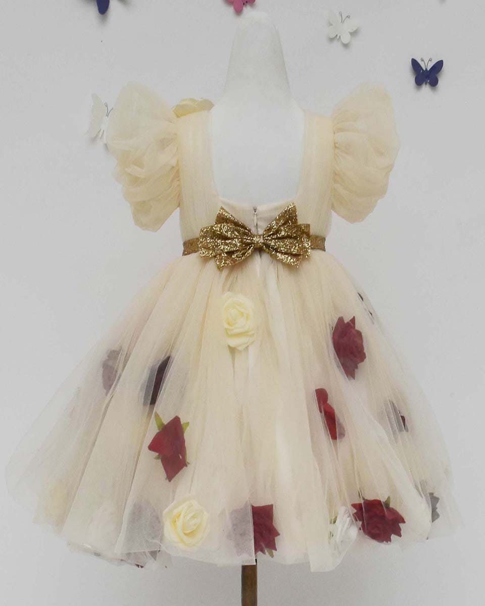 Pre Order: Cream Color Net Dress - Elegant Mesh Party Dress for Women, Perfect for Evening Events, Weddings & Special Occasions