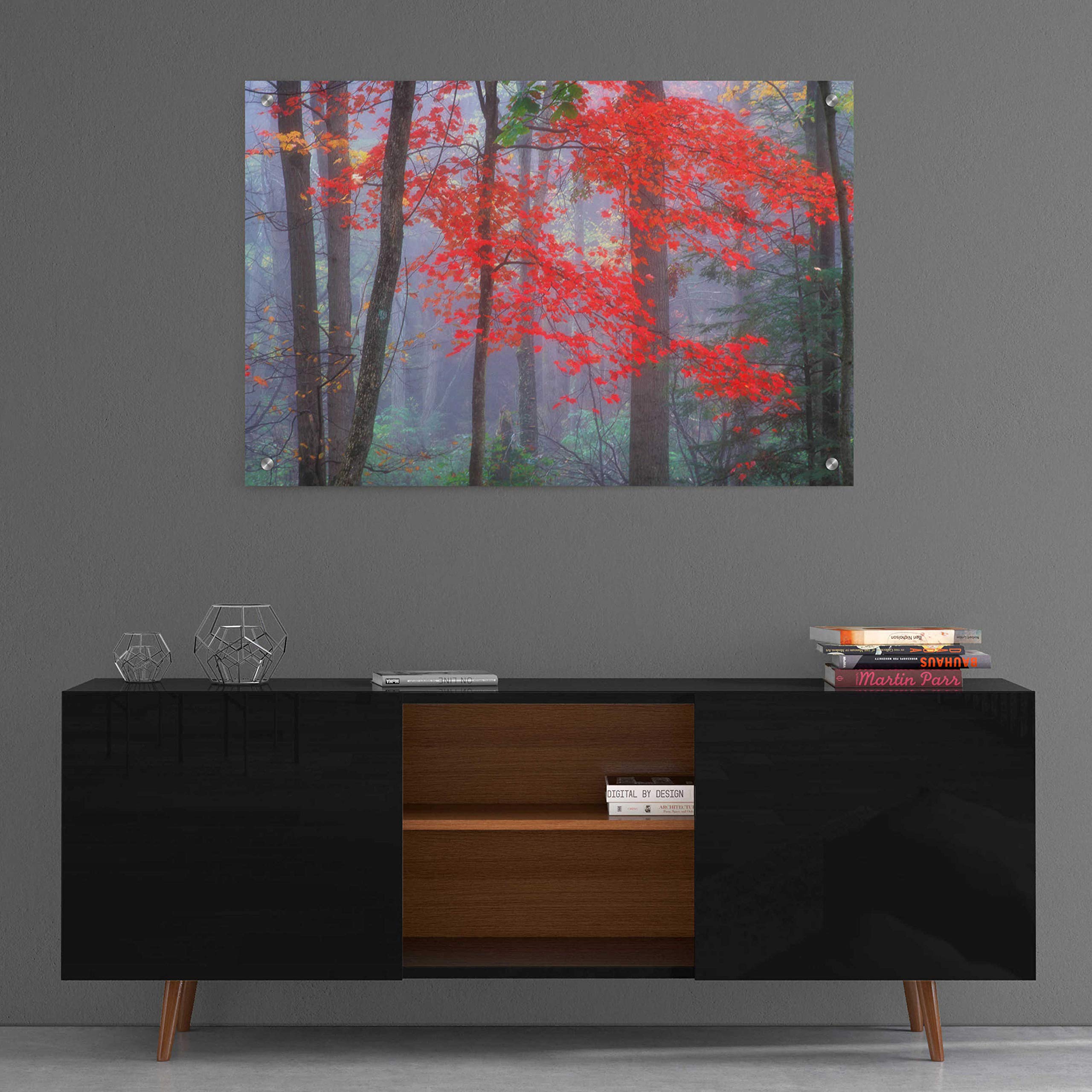 Epic Art 'Splash of Red' by Patrick Zephyr - 36x24 Inch Modern Acrylic Glass Wall Painting - Vibrant Abstract Home Decor for Living Room, Bedroom & Office