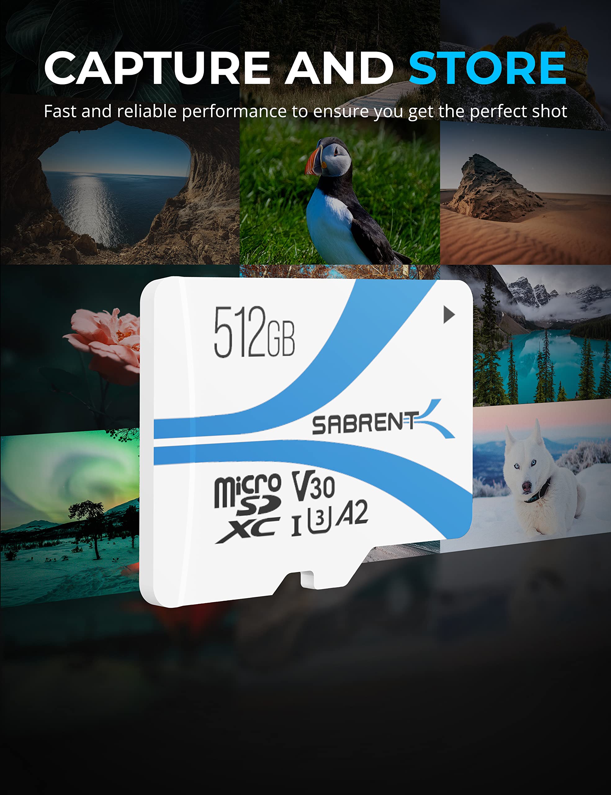 SABRENT 512GB Micro SDXC Card - UHS-I U3 V30 A2 Class 10 - 100MB/s Read Speed for 4K & 8K Video - Perfect for DSLR Cameras, Drones, GoPro, and Action Cameras - Ideal for Photographers, Videographers, and Content Creators (SD-MQ30-512)