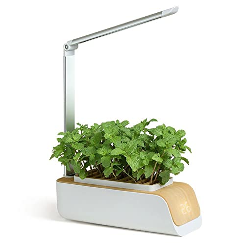 Smart Self-Watering Flower Pots for Indoor Plants - Hydroponic Vegetable Garden Kit, Herb Growing System for Home, Kitchen & Balcony Gardening
