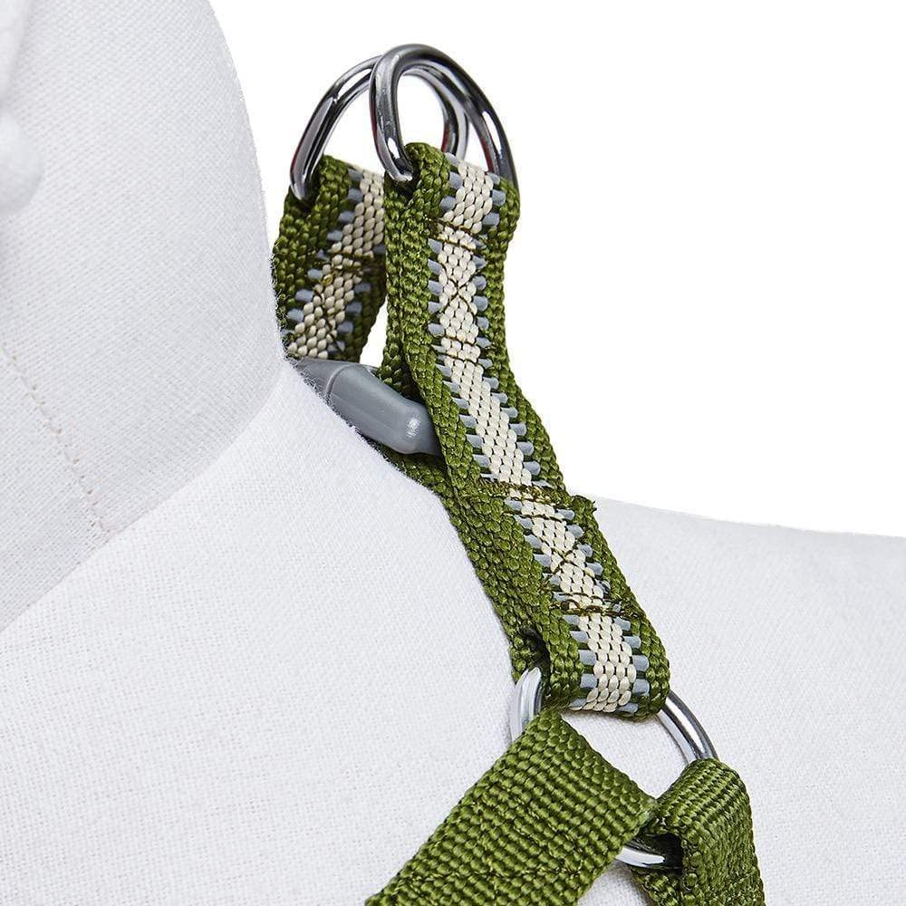 Blueberry Pet Essentials Step-in Reflective Dog Harness - Adjustable Medium Size (20