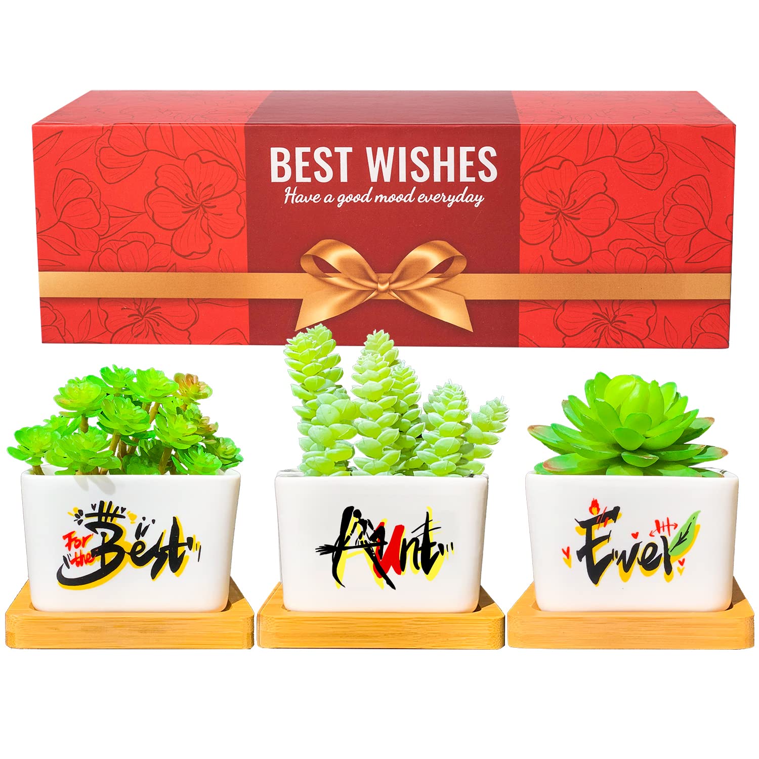 Best Aunt Ever Gifts for Women - Unique Succulent Plant Pots, Perfect Birthday or Christmas Present from Niece/Nephew | Ideal for Home Decor, Office Desk & Special Occasions