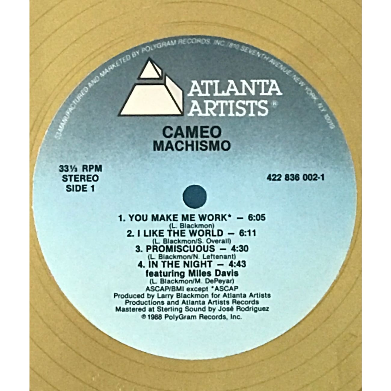 Cameo Machismo RIAA Certified Gold Album Award - Perfect for Music Collectors, Fans & Display in Home, Office or Studio