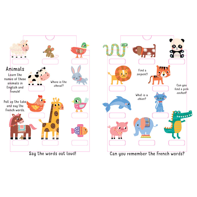 Slide and Seek 100 Words: French English Bilingual Learning Game for Kids - Perfect for Homeschooling & Language Practice