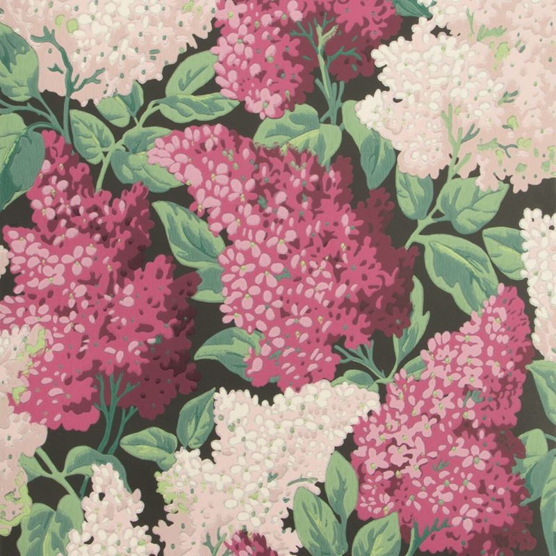 Cole & Son Lilac Magenta Blush Charcoal Print Wallpaper - Premium Floral Design for Living Room, Bedroom & Home Decor