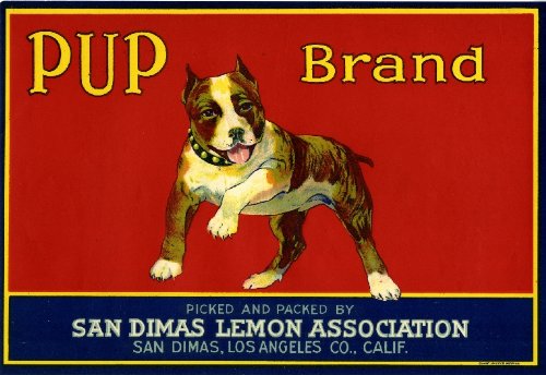 Vintage San Dimas Pup Staffordshire Terrier Dog & Lemon Citrus Fruit Crate Box Label Art Print - Perfect for Home Decor, Kitchen Wall Art & Pet Lover Gifts