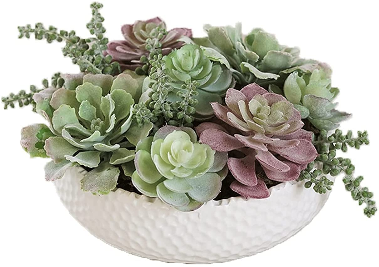 Artificial Succulent Plants in Ceramic Pots - 5.91In(H) x9.06in(W) Colorful Plastic Potted Plants for Home Office Decor, Wedding Centerpieces & Shelf Displays (Set of 3, Style A)