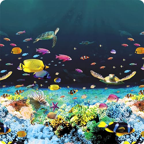 Great Barrier Reef