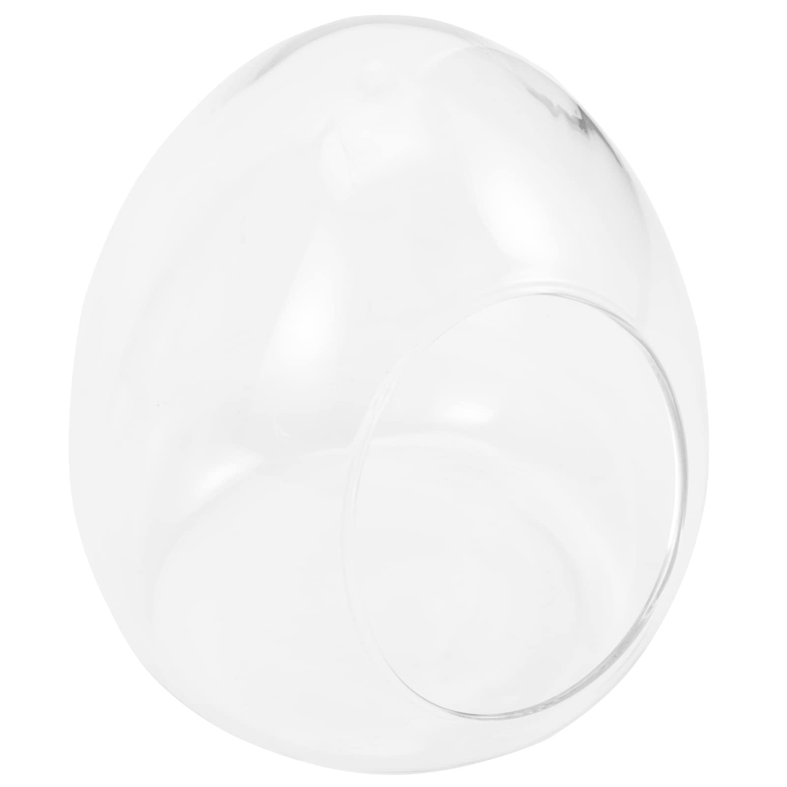 PATKAW Oval Glass Terrarium Planter - DIY Craft Decorative Container for Succulents, Air Plants & Moss - Perfect for Home, Office & Garden Decor | Plant Propagation Station & Unique Gift Idea
