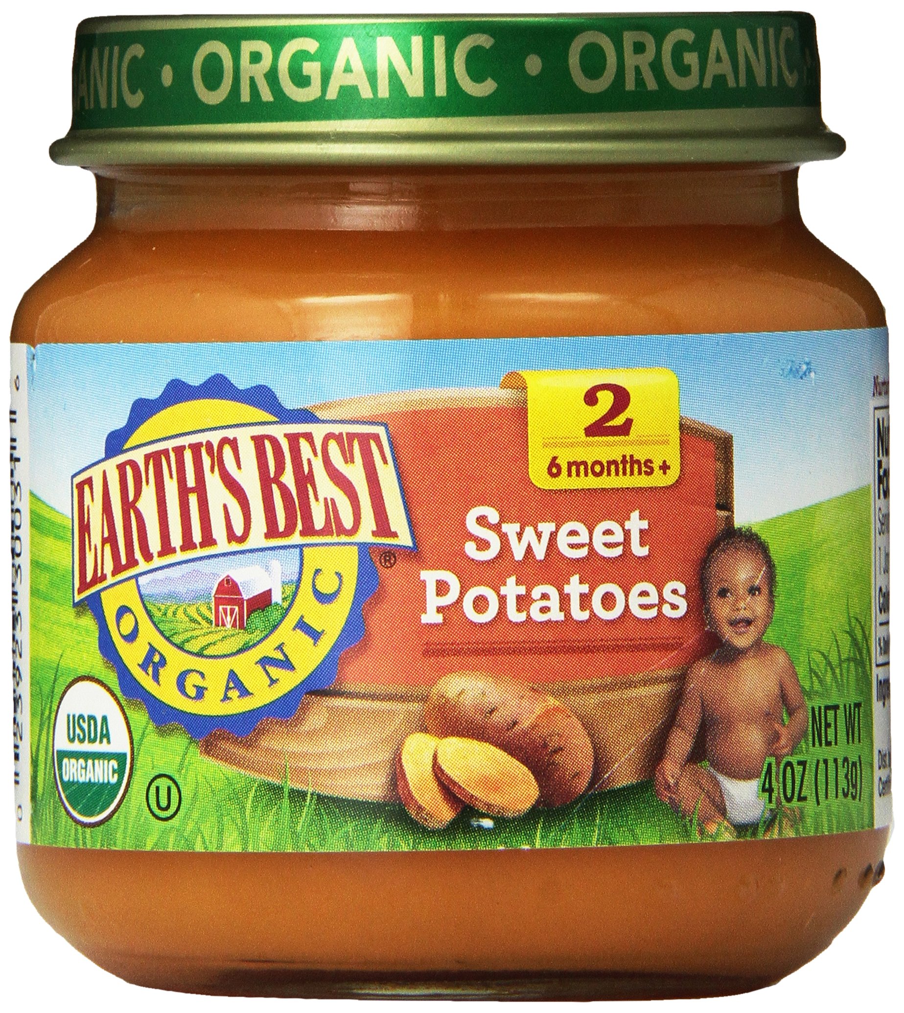Earth's Best Organic Stage 2 Baby Food - Sweet Potato Puree, 4 oz Glass Jars (Pack of 12) | Healthy & Natural First Foods for Infants 6+ Months | Ideal for On-the-Go Feeding & Introducing Solids