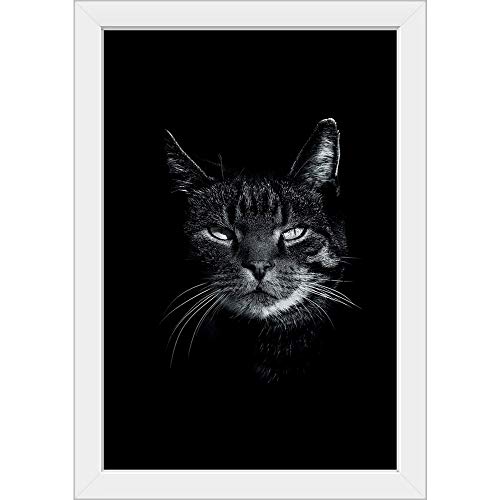 White Frame