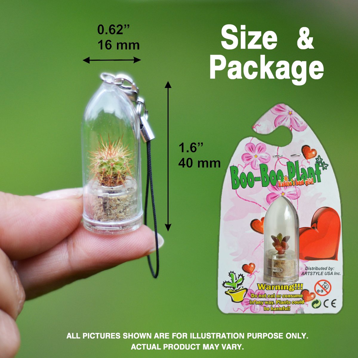 Live Succulent Terrarium Keychain - Mini Tulip Plant Accessory for Home Decor, Office Desk, Gift & DIY Crafts