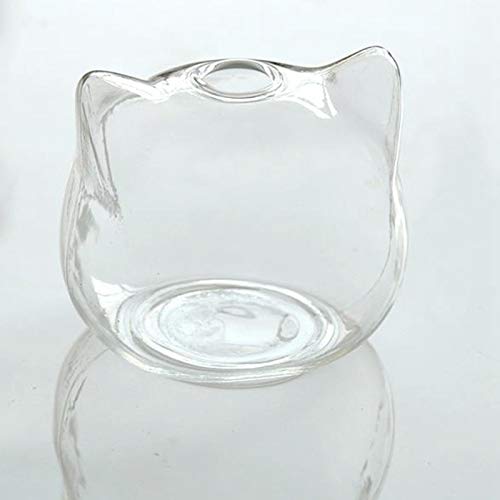 BIRTHAGAIN Cat Shaped Glass Vase - Hydroponic Planter, Flower Terrarium, Decorative Container for Plants - Perfect for Home Decor, Office Gift & Indoor Gardening