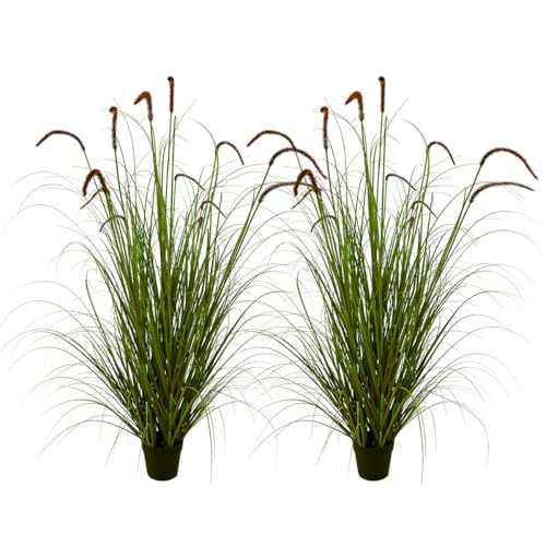 Purple-5ft(2pack)