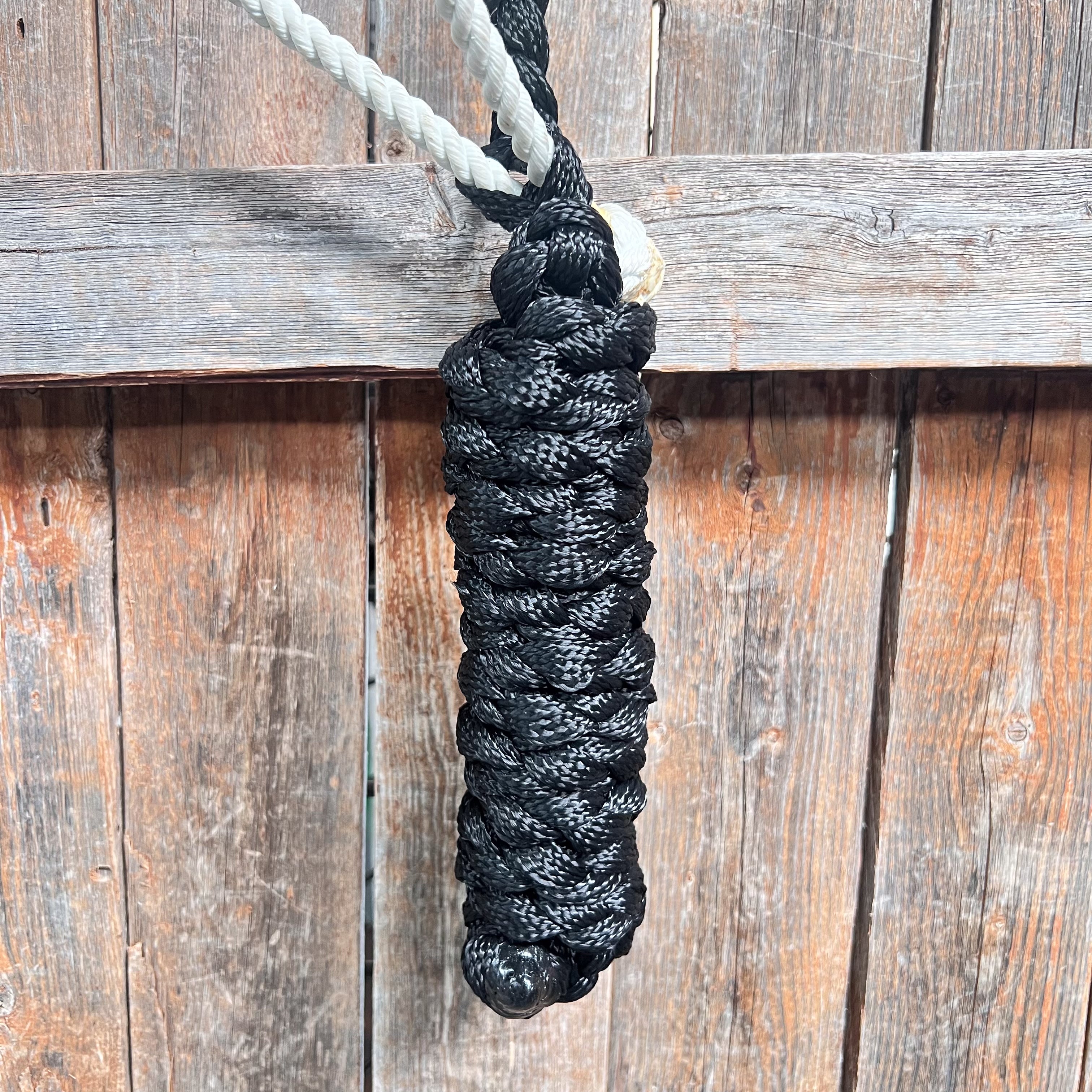 Black Mule Tape Halter with Lariat Noseband - Durable Horse Headcollar for Training & Show | Perfect for Western Riding, Trail Use & Equestrian Events