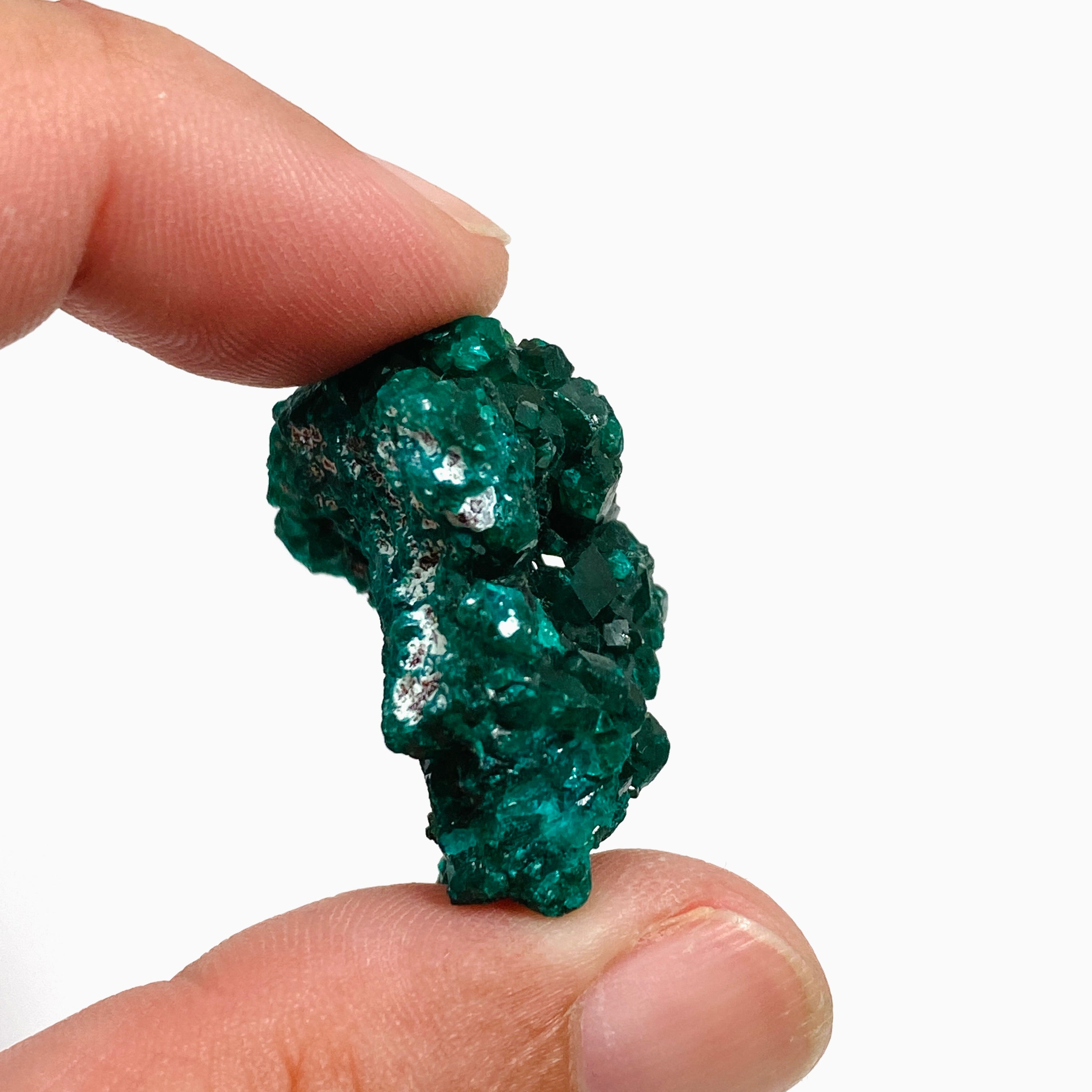 Natural Dioptase Crystal Specimen - DIOPS 03 | Rare Green Mineral Collection for Display, Healing & Meditation | Perfect for Gemstone Enthusiasts & Home Decor