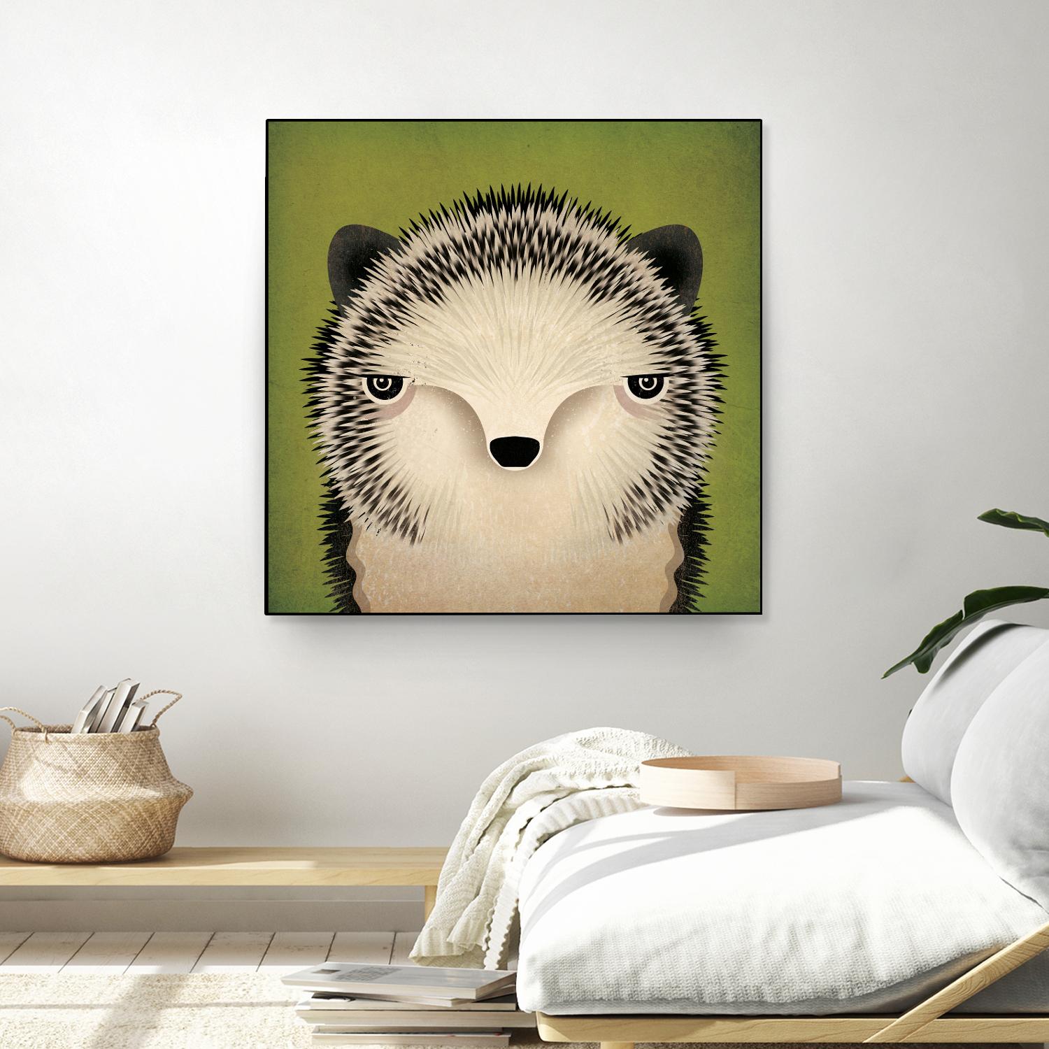 Adorable Baby Hedgehog Pet - Live Hedgehog for Sale | Perfect for Exotic Pet Lovers & Small Animal Enthusiasts | Great for Home Companionship & Educational Pets