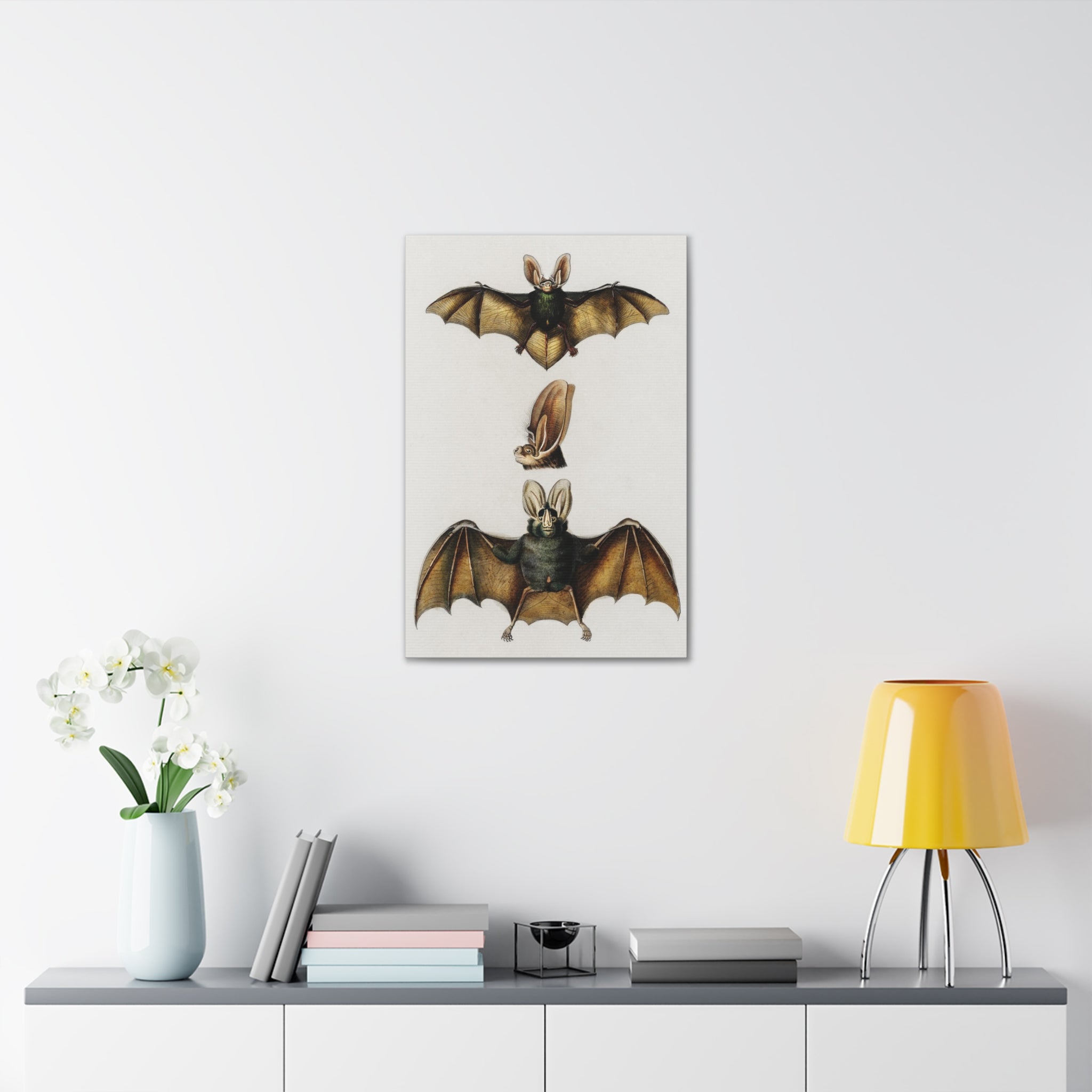 Plecotus Bat Art Print by Charles Dessalines - Stunning Canvas Wall Decor for Home, Office & Gifts | Wildlife Illustration | Nature-Inspired Decor