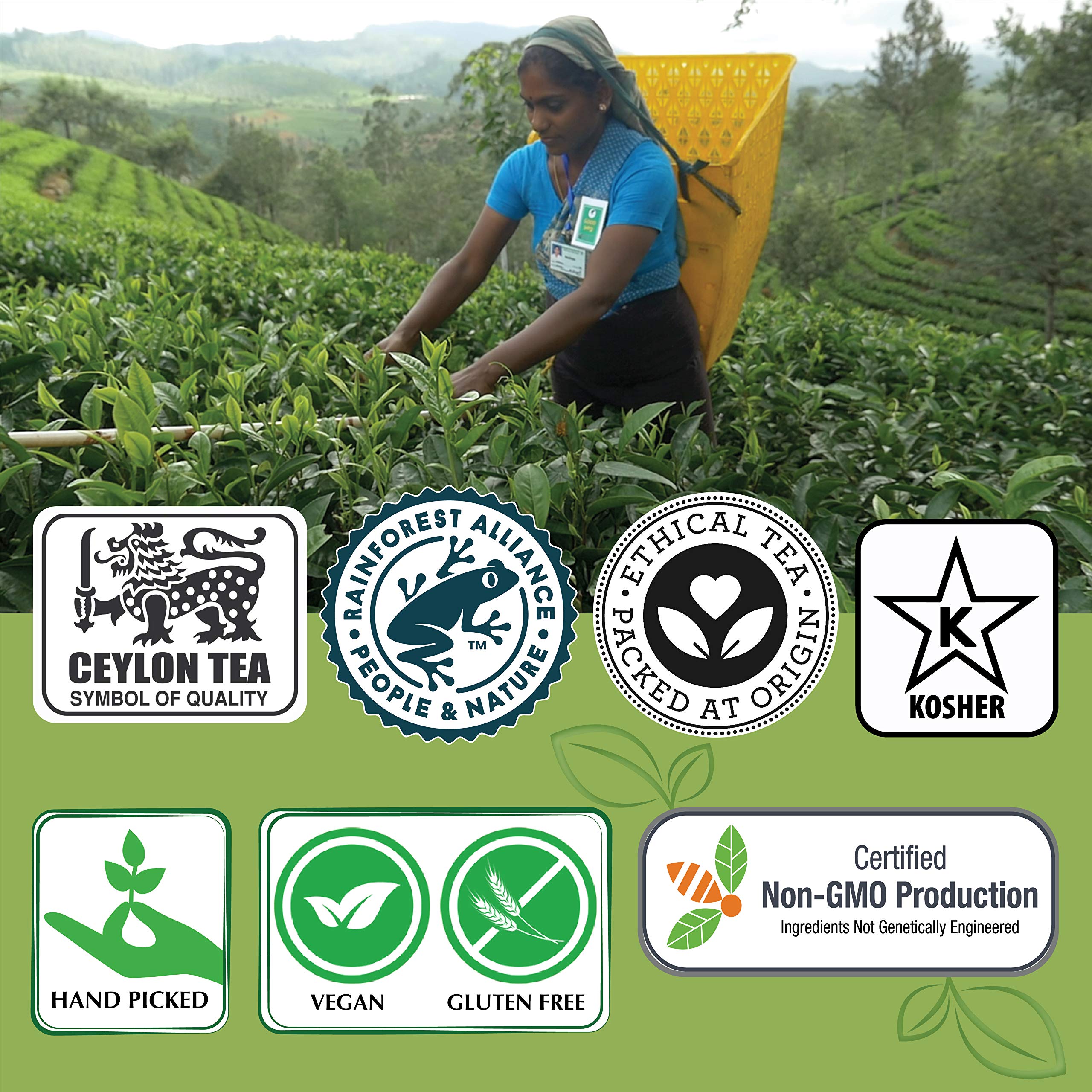 Jaf Tea - Premium Tea Sampler Gift Set Box with 80 Tea Bags (8 Flavors) - Fruit Black Tea Variety Pack Includes Lemon, Peach & Passion Fruit - Perfect for Gifts, Office & Relaxation