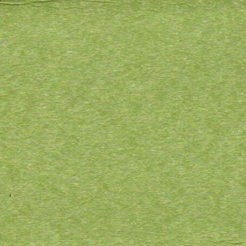 Tropical Lime
