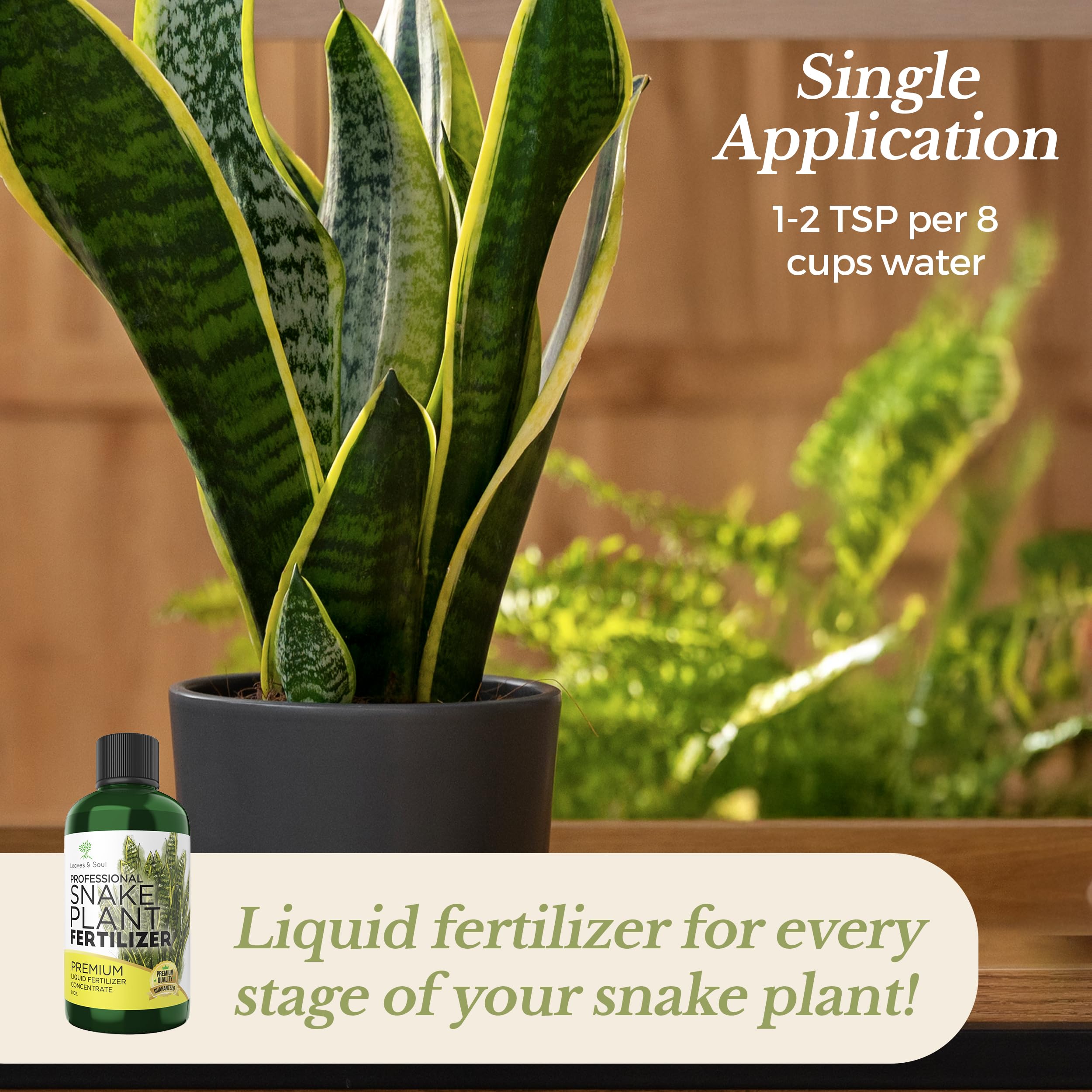 Premium Liquid Snake Plant Fertilizer 8 oz - 3-1-2 NPK Concentrated Plant Food for Indoor & Outdoor Plants - All-Purpose Flower & Garden Nutrient Solution - Perfect for Houseplants, Succulents & Gardening Supplies
