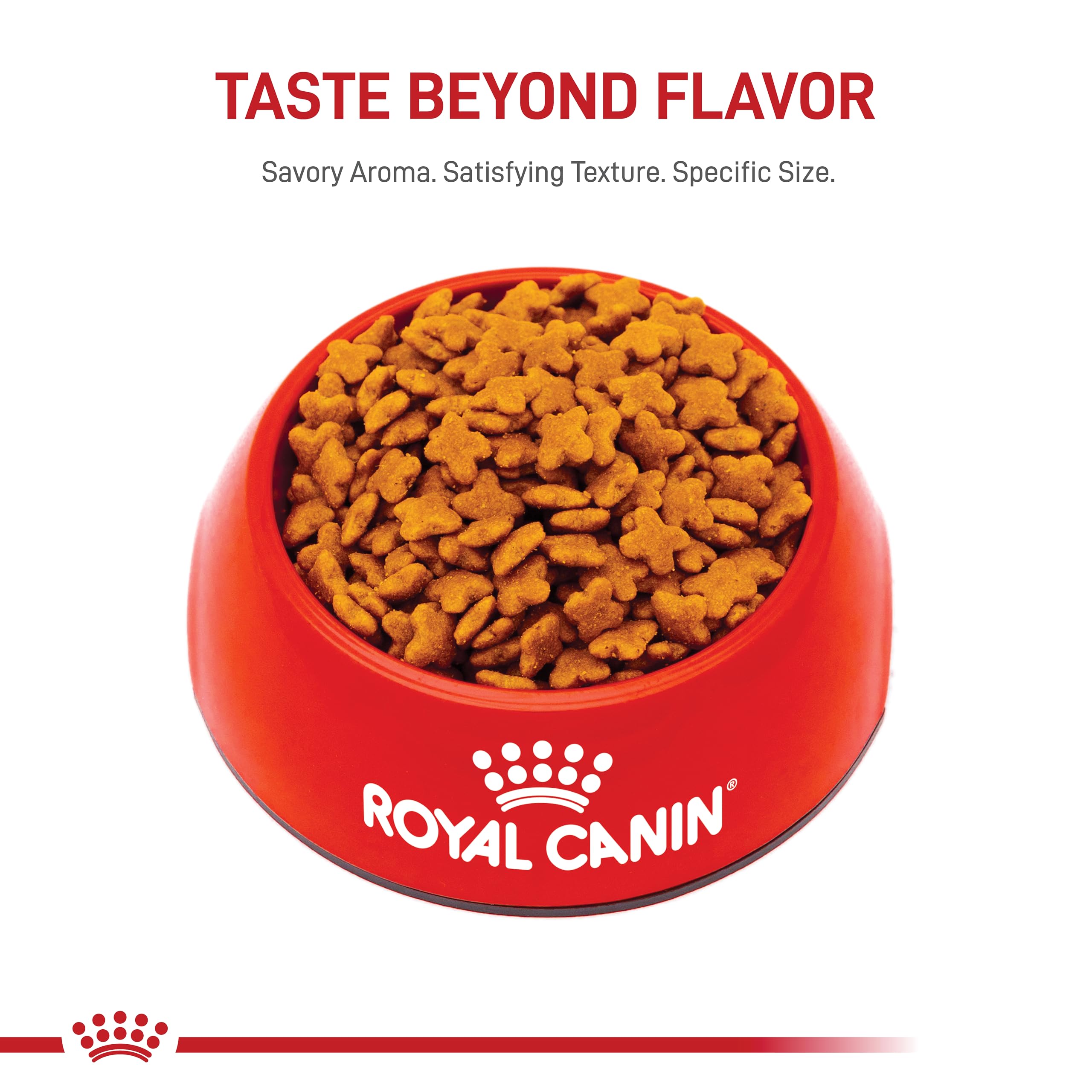 Royal Canin Small Adult 8+ Dry Dog Food for Senior Small Breed Dogs - 13 lb Bag - Supports Joint Health & Digestion - Perfect for Aging Small Dogs at Home or Travel