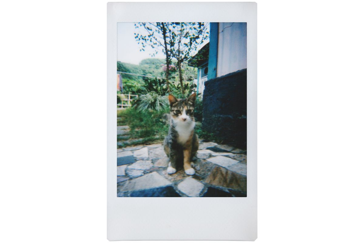 Lomography Lomo'Instant Camera & Lenses Milano Edition - Retro Instant Film Camera with 3 Creative Lenses for Travel, Parties & Vintage Photography