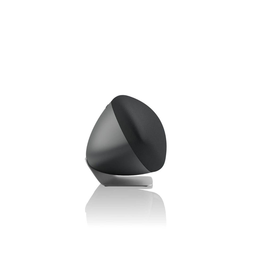 Bowers & Wilkins Zeppelin Pro Edition Wireless Speaker - Premium Hi-Fi Sound System for Home & Office | Perfect for Music Lovers, Audiophiles & Entertainment Spaces