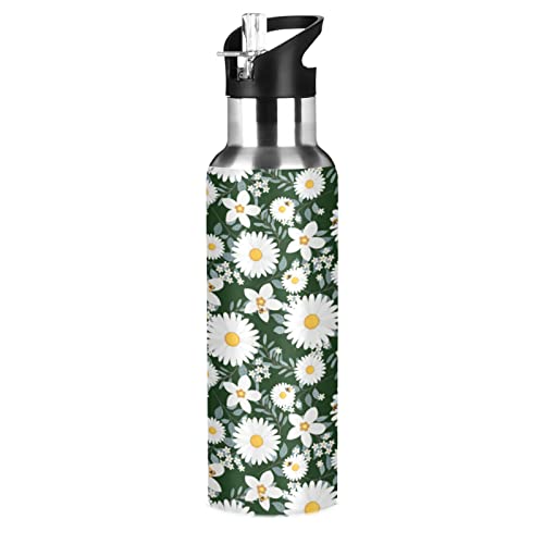 White Daisies and Bee