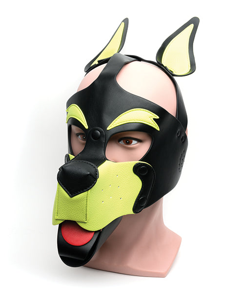 Playful Pup Hood for Dogs - One Size Fits Most, Black & Yellow - Perfect for Pet Costumes, Halloween, and Photo Shoots