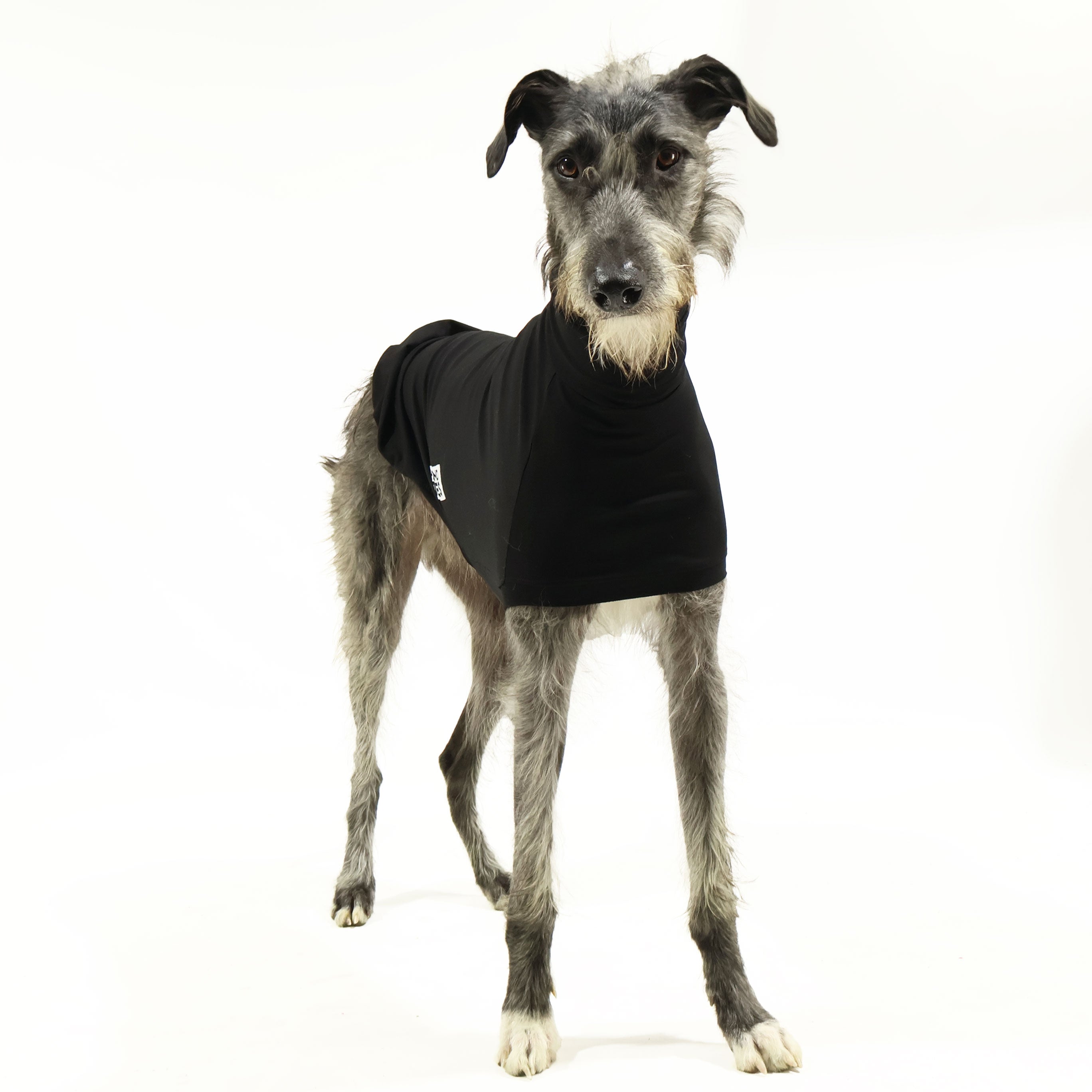 Melbourne Greyhound Sleeveless Base Layer - Breathable Athletic Undershirt for Running & Workouts - Perfect for Gym, Marathon Training & Outdoor Sports