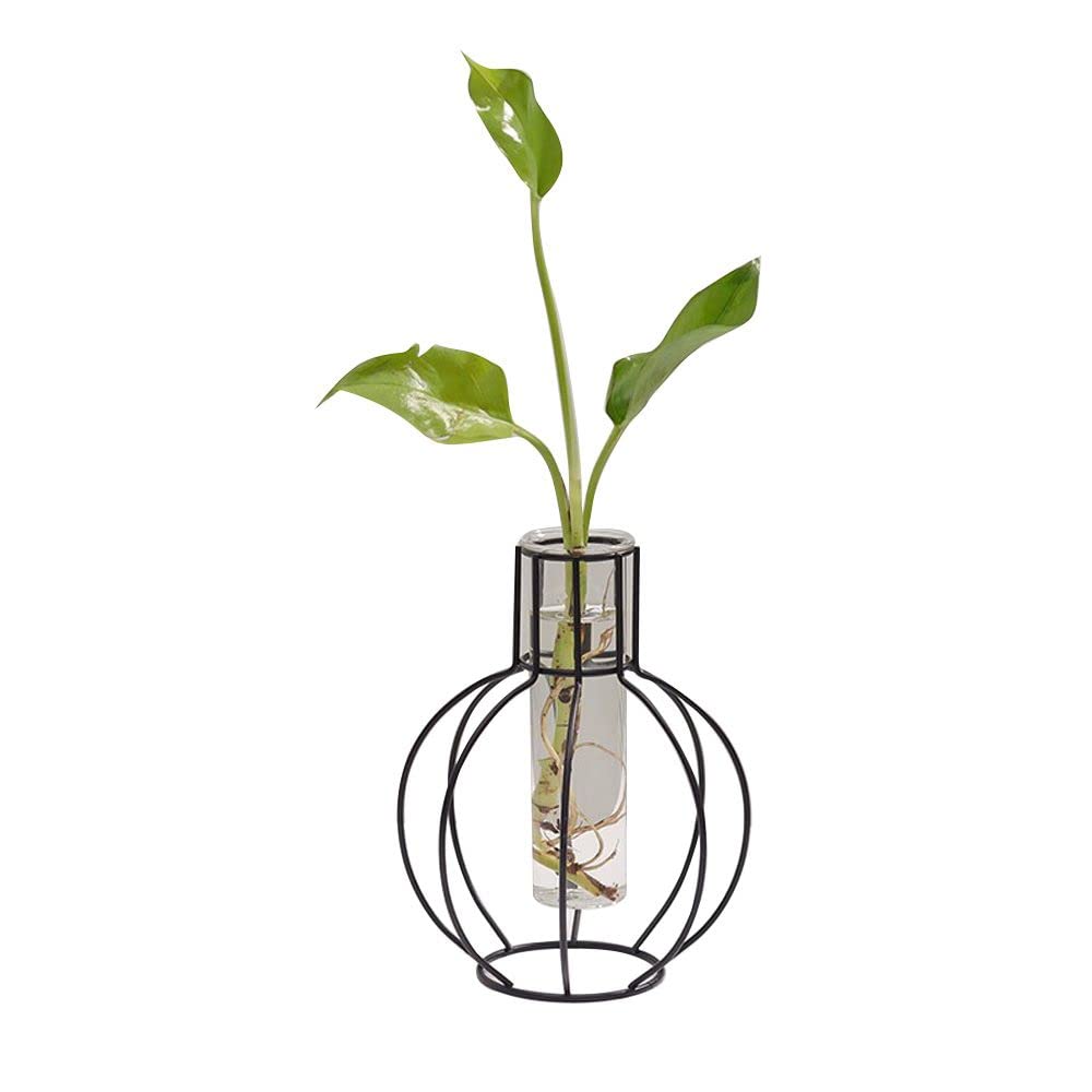 Nordic Style Glass Vase for Hydroponic Plants & Flower Arrangement - Modern Office & Home Decor Tabletop Ornament (Style 4) | Perfect for Living Room, Dining Table, Office Desk & Wedding Centerpieces