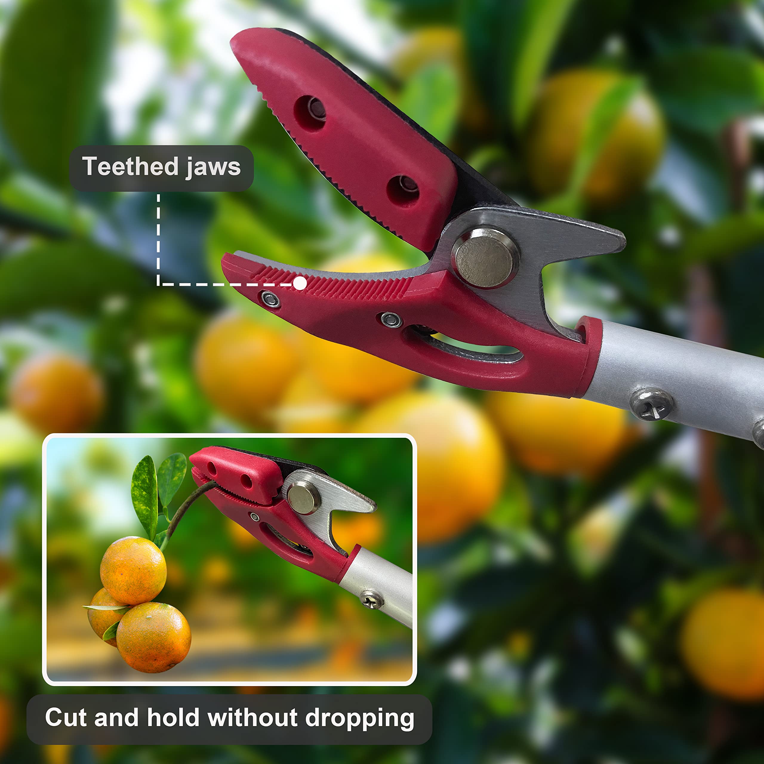 6FT Tree Trimmer Pole Pruner - Lightweight Aluminum Long Reach Pruning Shears with Cut & Hold Function - Perfect for Fruit Picking, Branch Trimming and Garden Maintenance (Ideal for Tall Trees & Hard-to-Reach Branches)