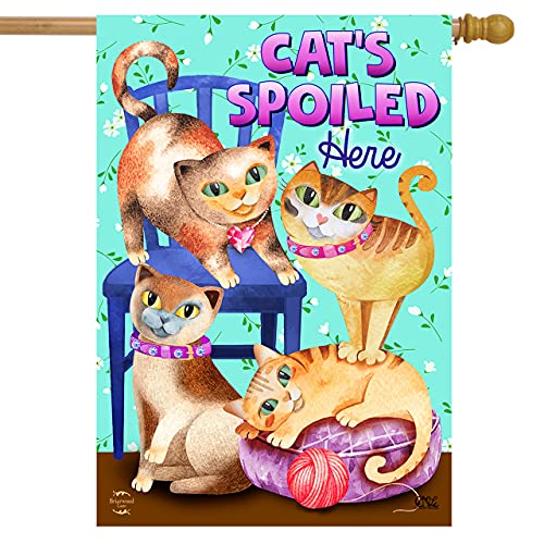 06 - Spoiled Cats