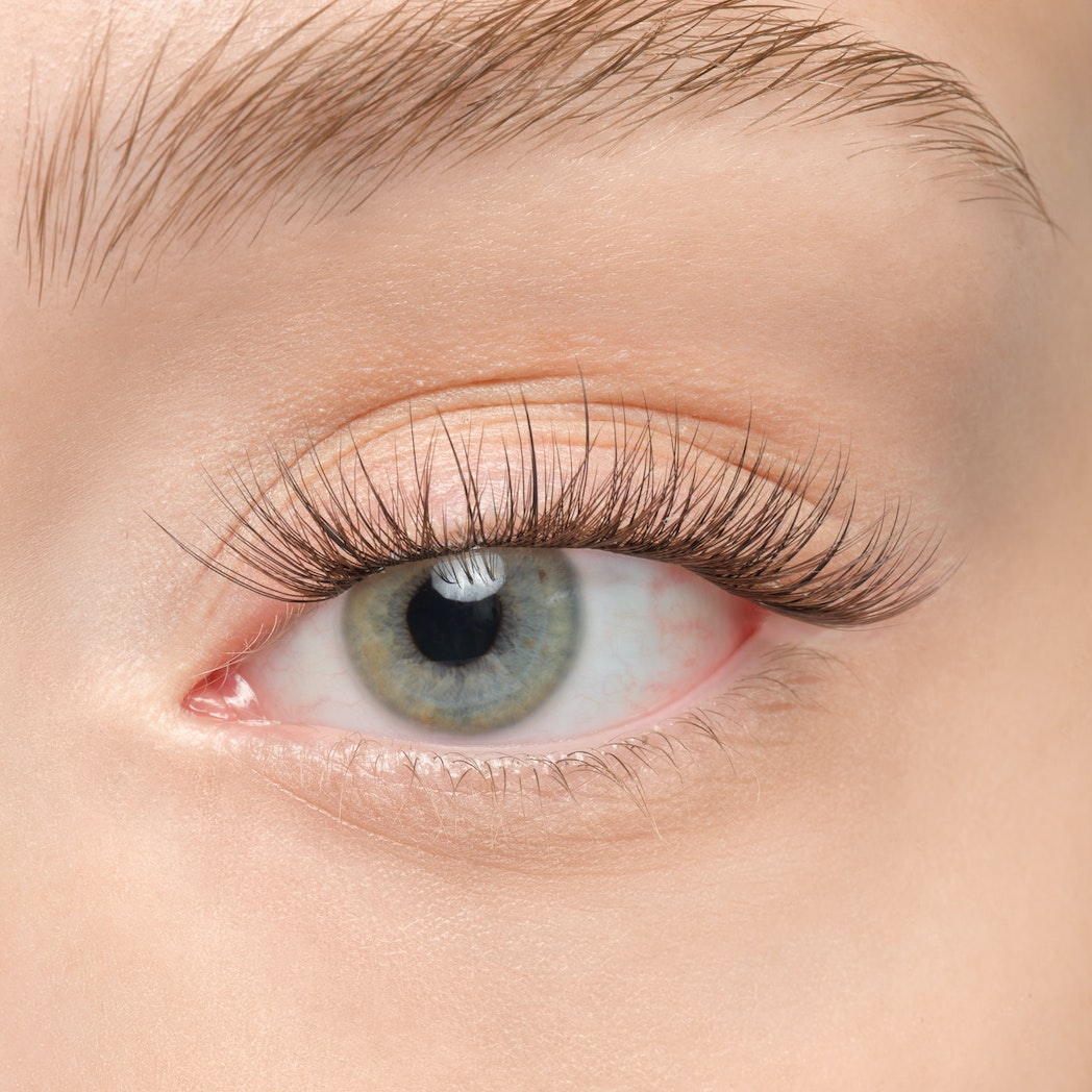 Plushy Gossamer® False Eyelashes - Natural Wispy Lashes for Dramatic Eye Makeup | Perfect for Parties, Weddings & Special Occasions