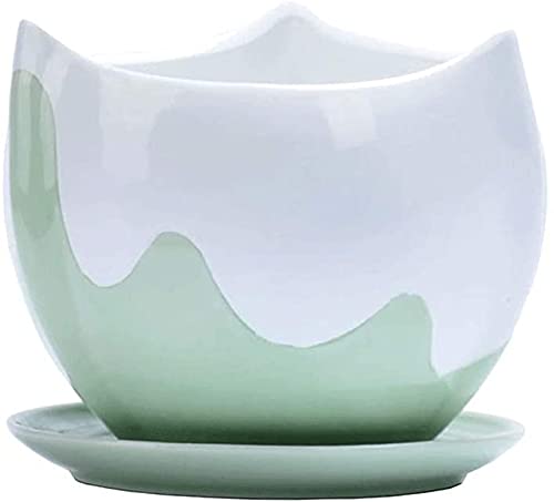 Premium Ceramic Flower Pot with Drainage Tray - Large Celadon Green Orchid Planter for Succulents, Indoor Plants & Home Decor (3 Sizes: 11cm/21cm) - Perfect for Windowsills, Office Desks & Living Room Decor