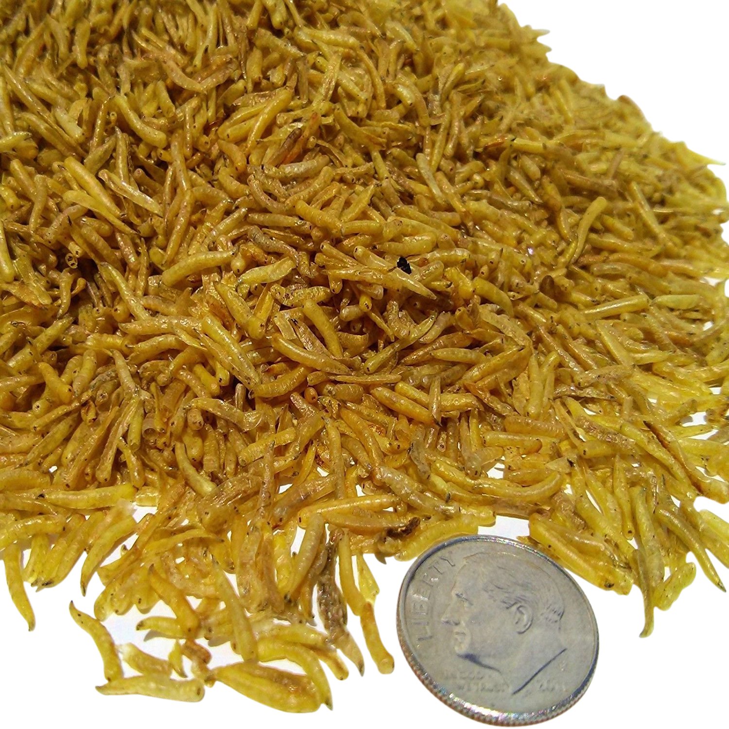 Freeze Dried White Worms for Tropical Fish & Marine Aquariums - High Protein Aquatic Food, 4 lbs - Perfect for Betta, Guppy, Discus & Saltwater Fish Feeding