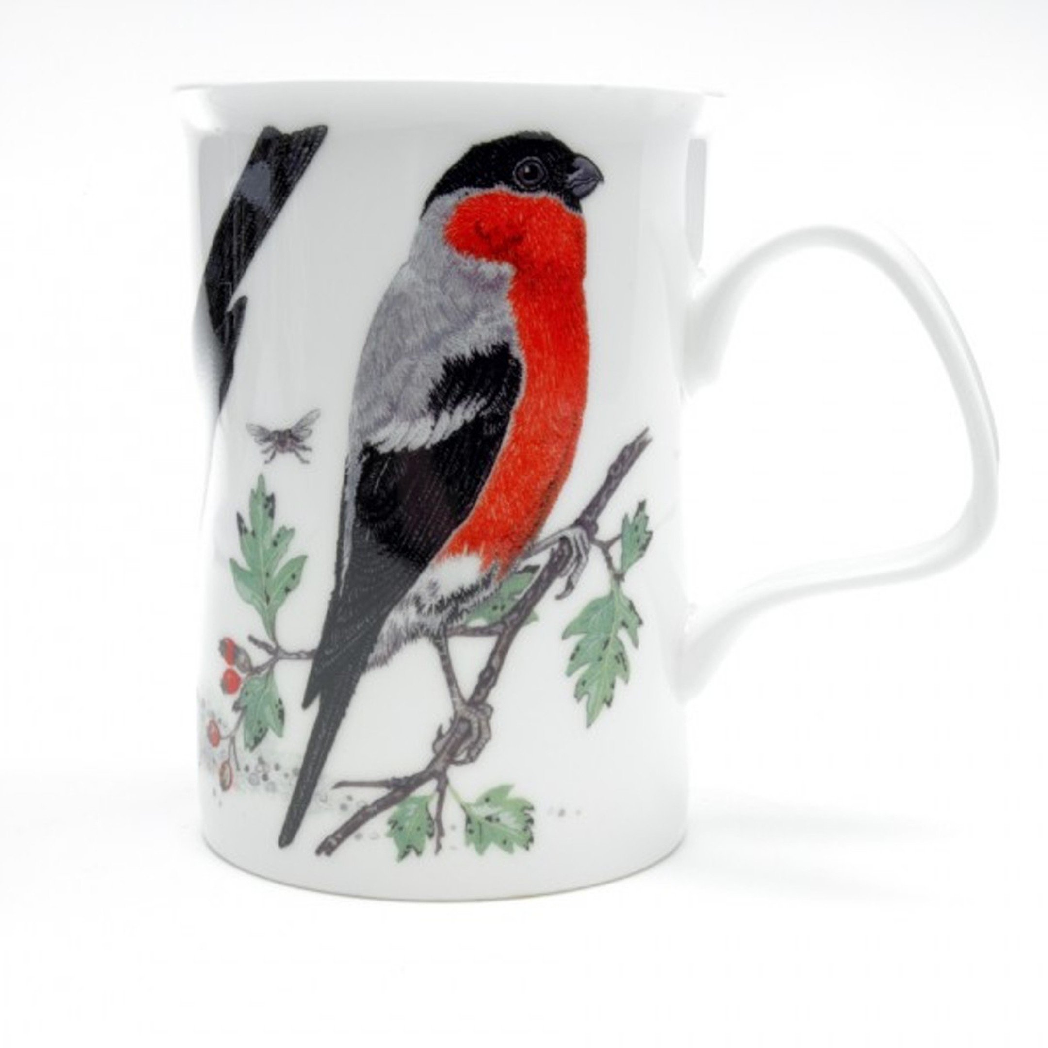 Roy Kirkham Lancaster 6-Piece Coffee Mug Set - Elegant Porcelain Tea Cups for Home, Office & Gifting | British-Inspired Floral Design