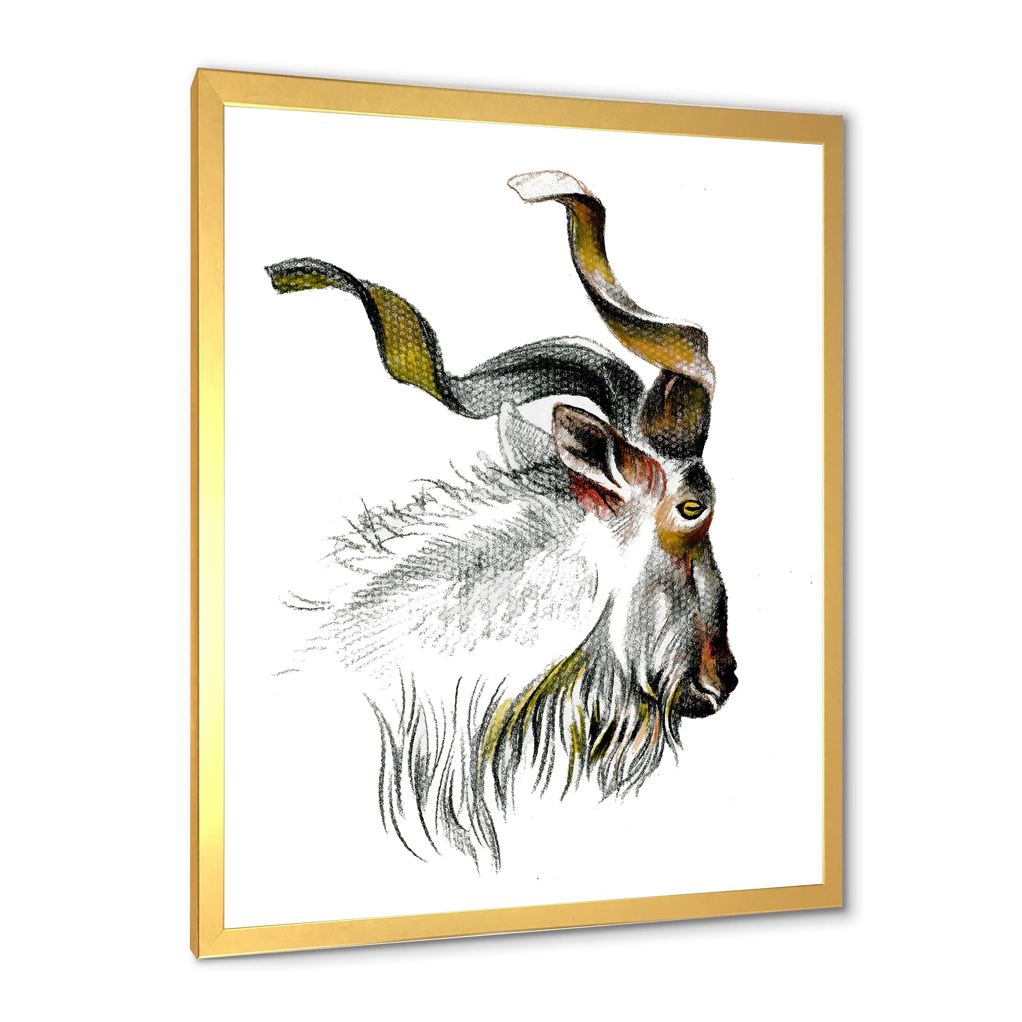Monochrome Goat Portrait II - Farmhouse Framed Wall Art Decor for Living Room, Bedroom & Office