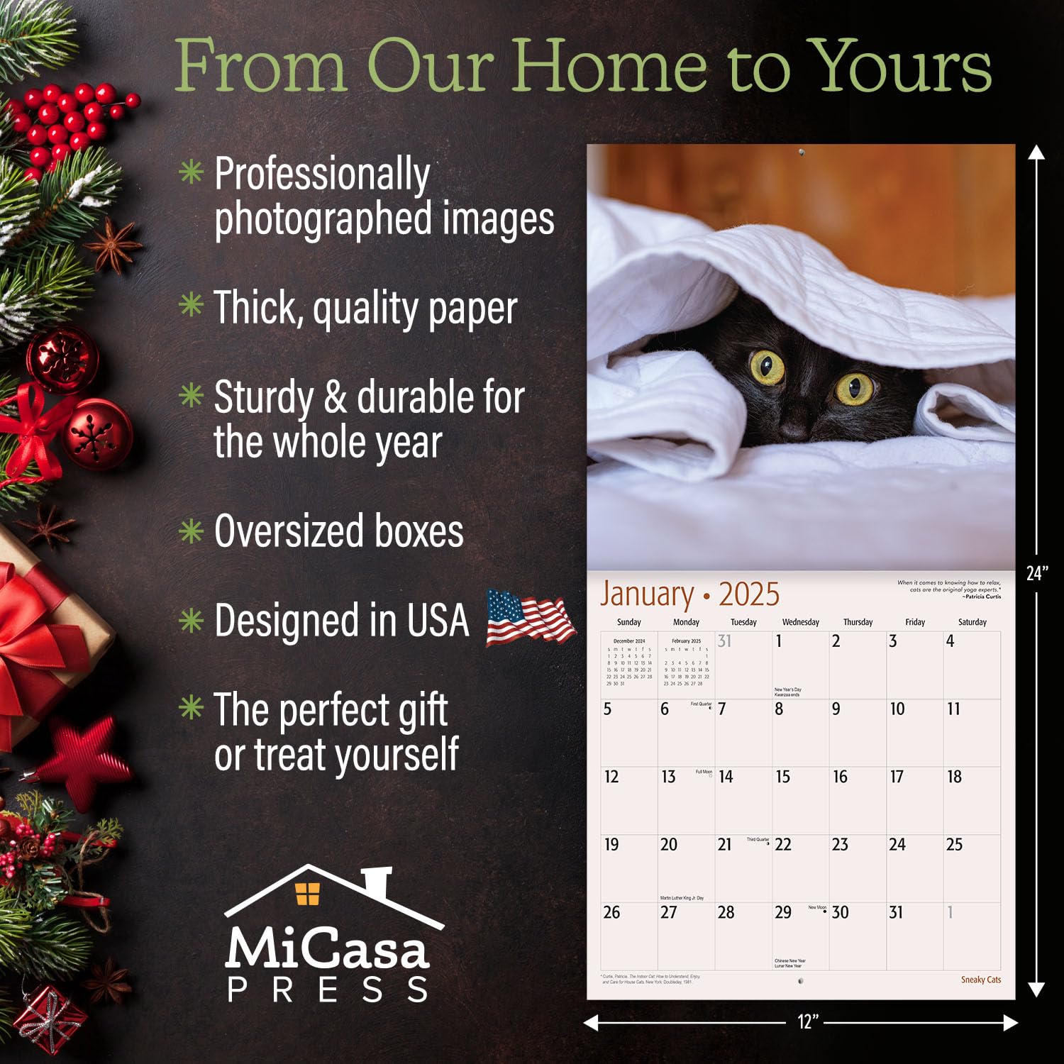 MICASA Sneaky Cats 2025 Wall Calendar - 12 Month Funny Cat Calendar (12