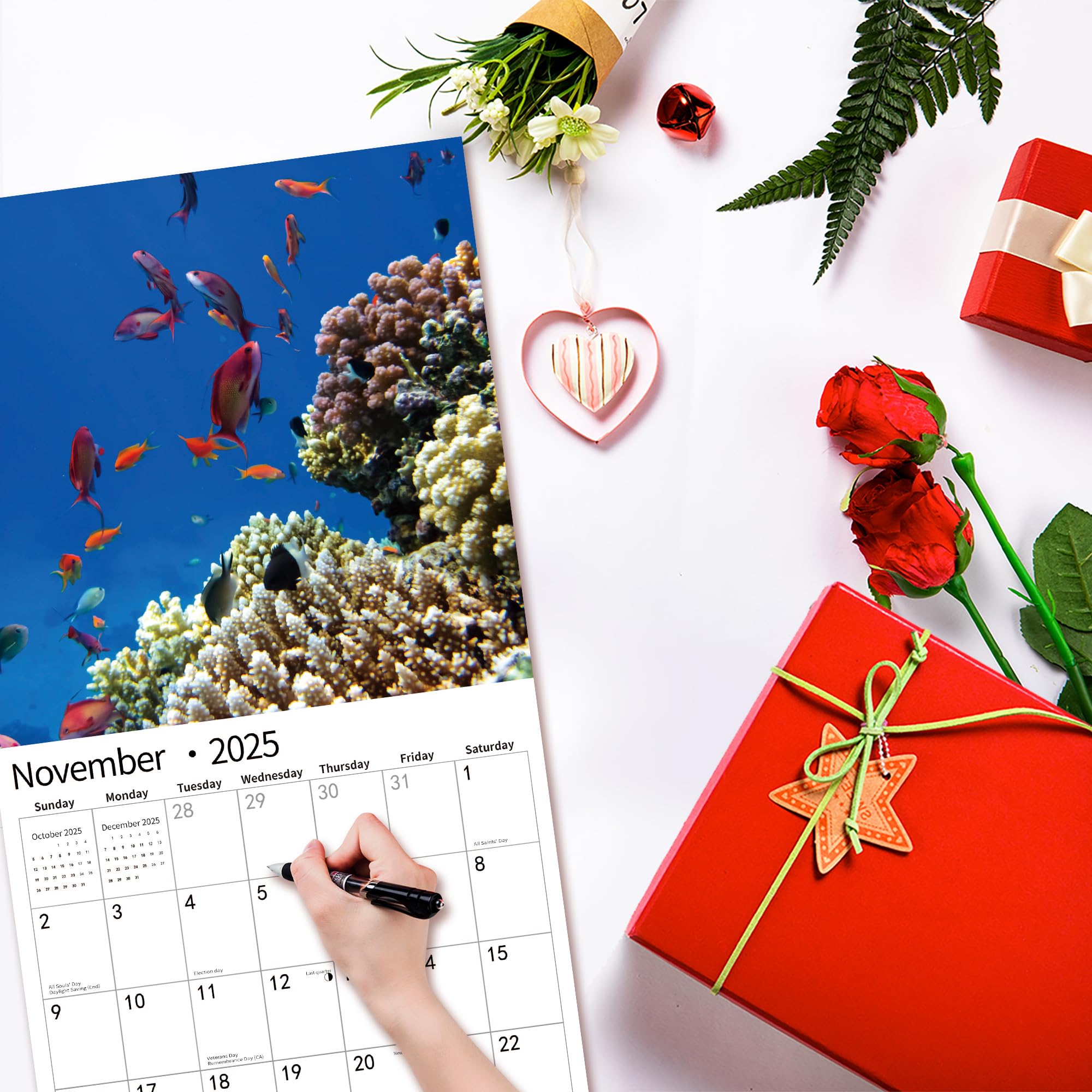 2025 Tropical Wall Calendar | November 2024 - December 2025 | 12